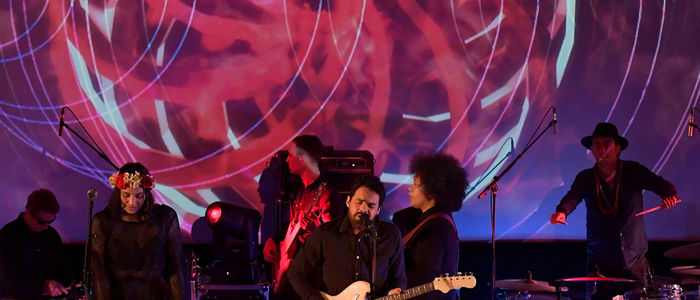 Tōtaranui 250 Trust Free Show